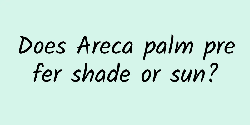 Does Areca palm prefer shade or sun?