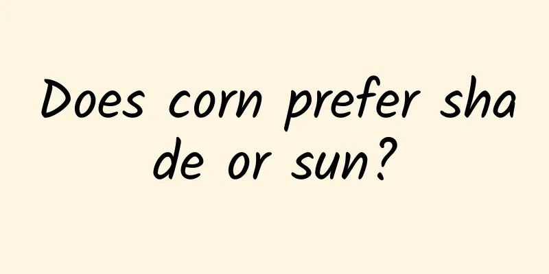 Does corn prefer shade or sun?