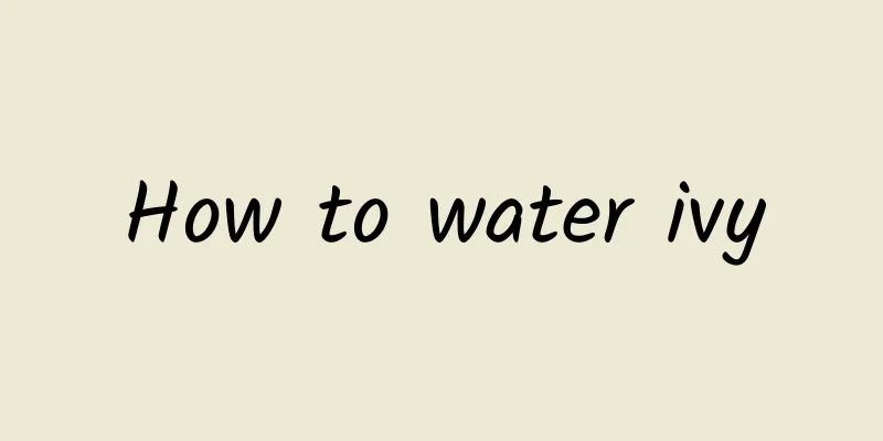 How to water ivy