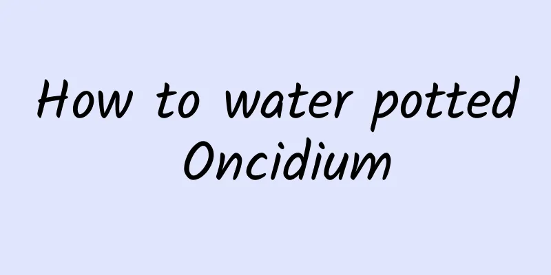 How to water potted Oncidium