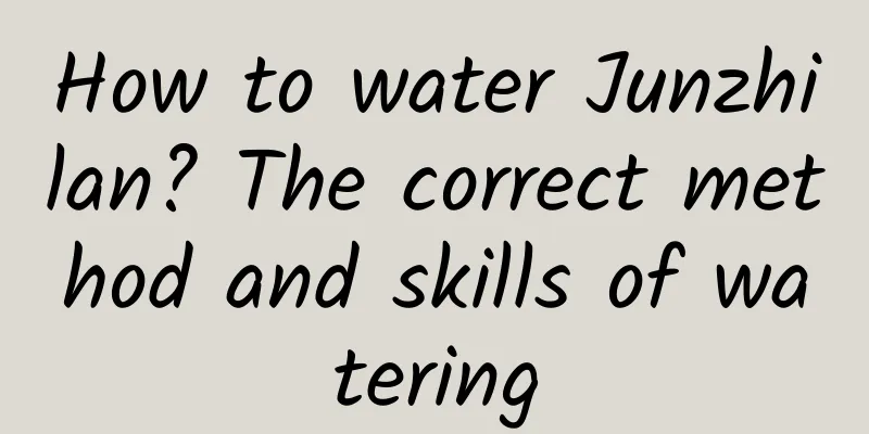 How to water Junzhilan? The correct method and skills of watering