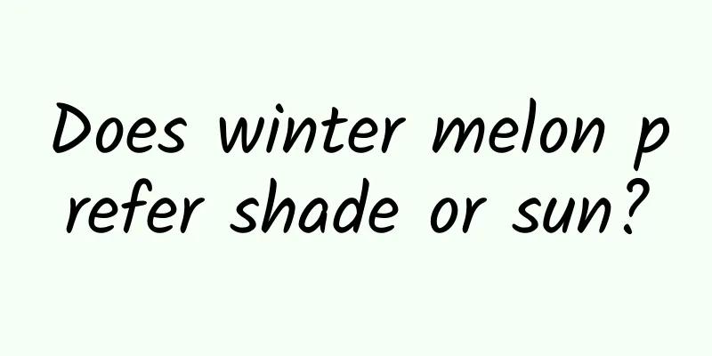 Does winter melon prefer shade or sun?