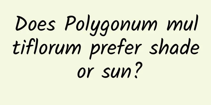 Does Polygonum multiflorum prefer shade or sun?