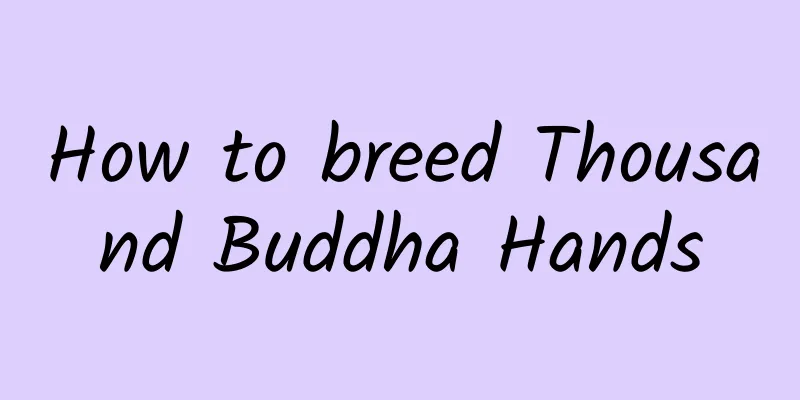 How to breed Thousand Buddha Hands