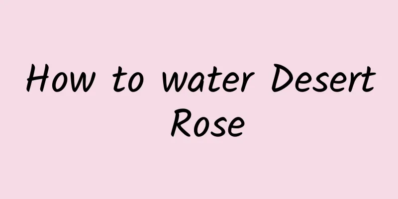 How to water Desert Rose