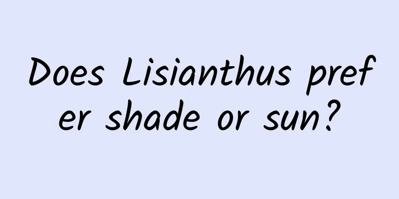 Does Lisianthus prefer shade or sun?