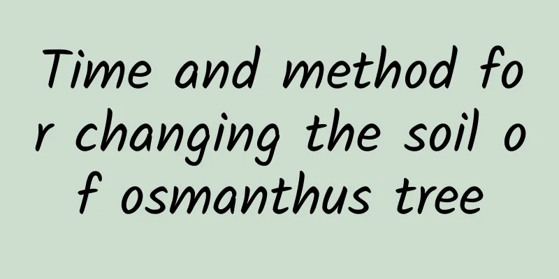 Time and method for changing the soil of osmanthus tree