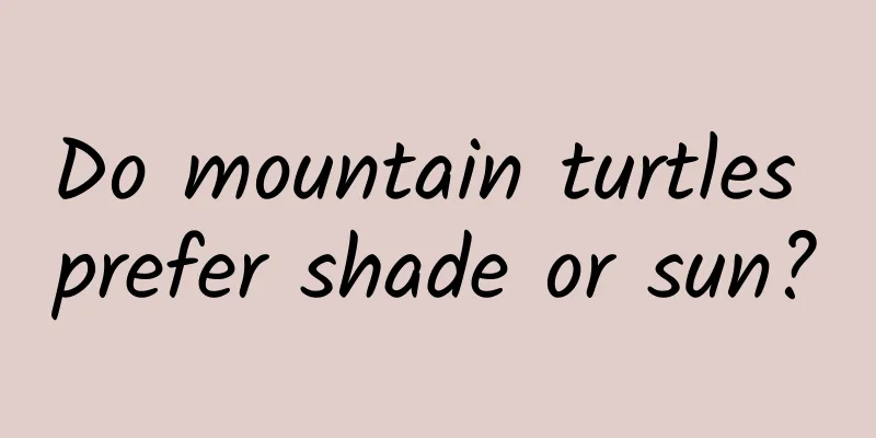 Do mountain turtles prefer shade or sun?