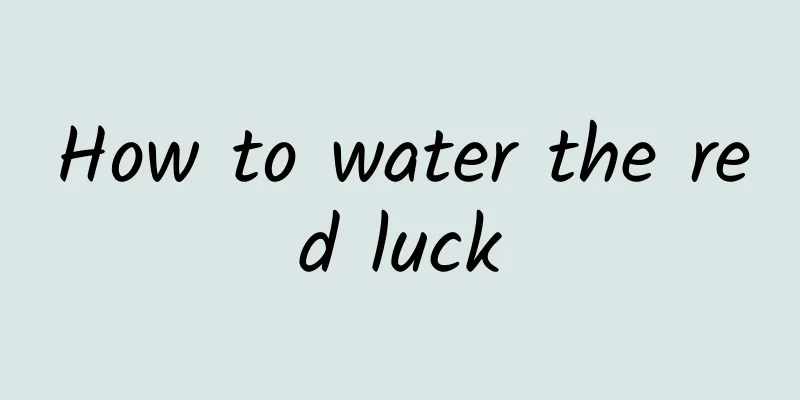 How to water the red luck