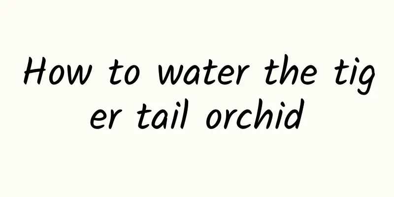 How to water the tiger tail orchid