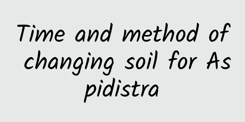 Time and method of changing soil for Aspidistra