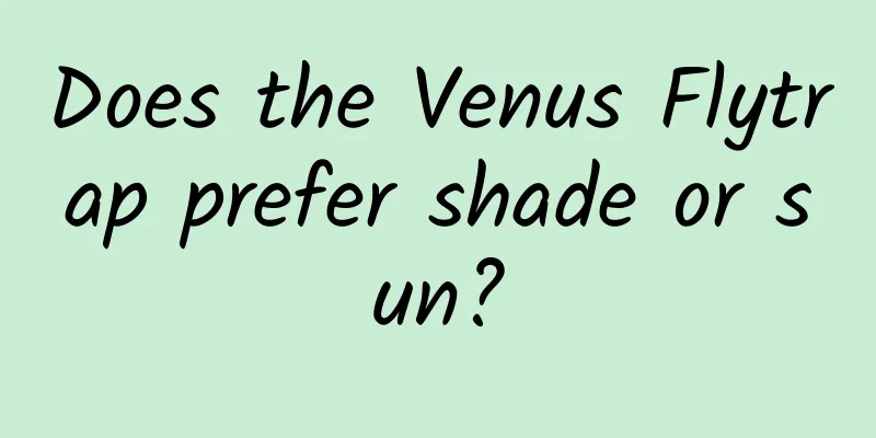 Does the Venus Flytrap prefer shade or sun?