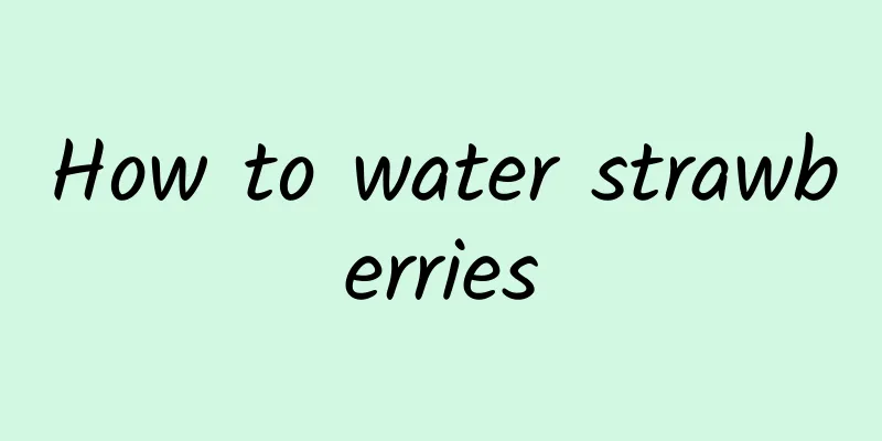 How to water strawberries
