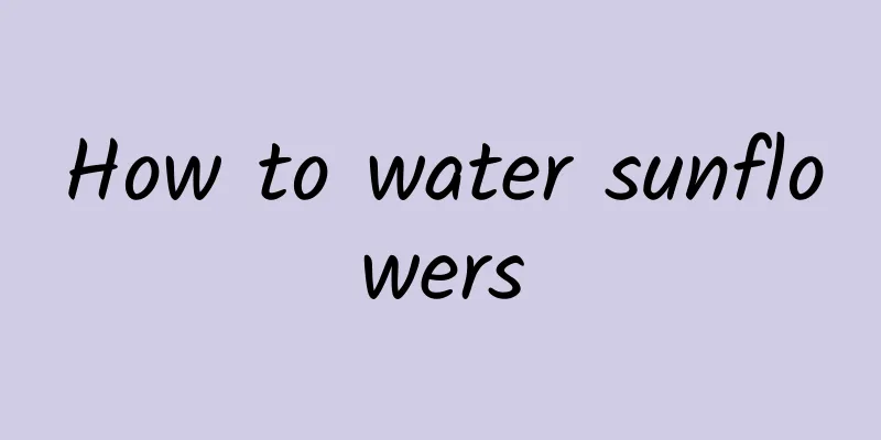 How to water sunflowers