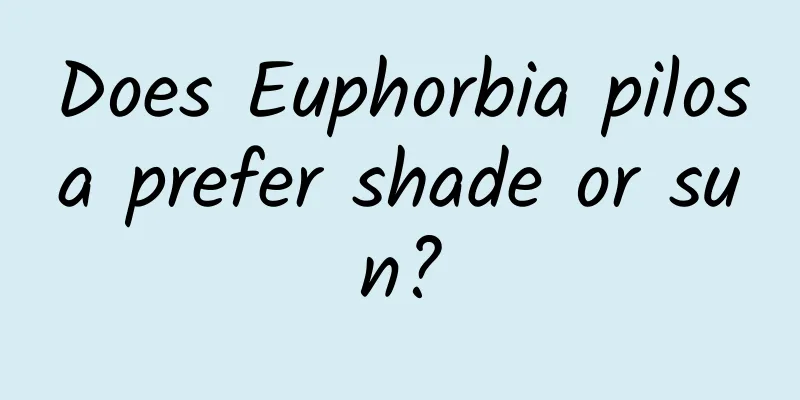 Does Euphorbia pilosa prefer shade or sun?