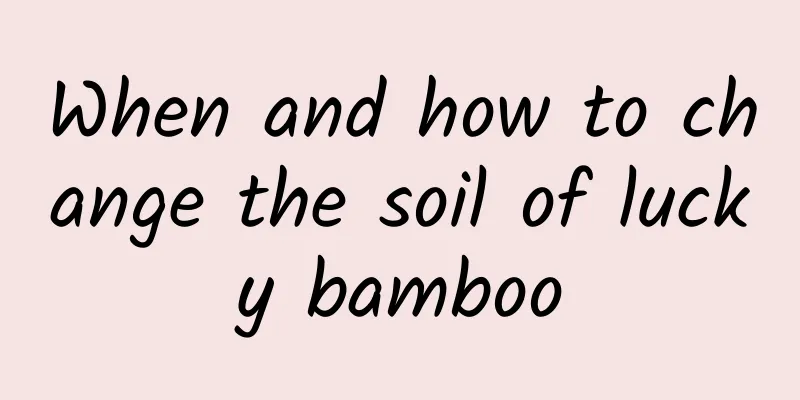 When and how to change the soil of lucky bamboo