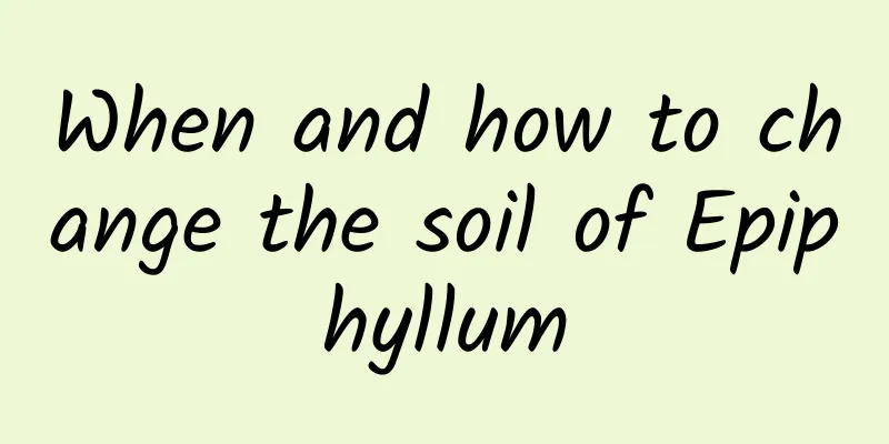 When and how to change the soil of Epiphyllum