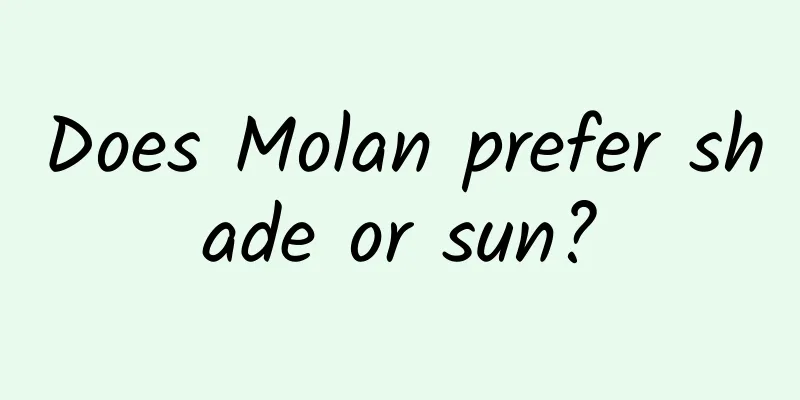 Does Molan prefer shade or sun?