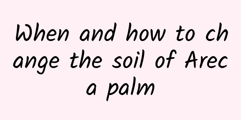 When and how to change the soil of Areca palm