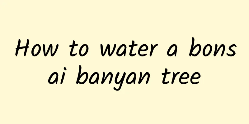 How to water a bonsai banyan tree