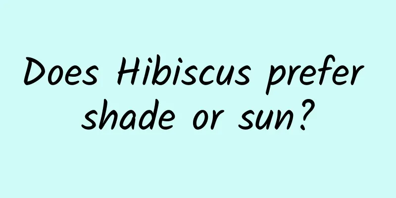 Does Hibiscus prefer shade or sun?