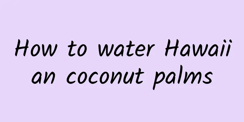 How to water Hawaiian coconut palms