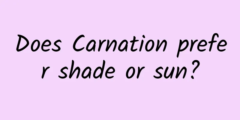 Does Carnation prefer shade or sun?