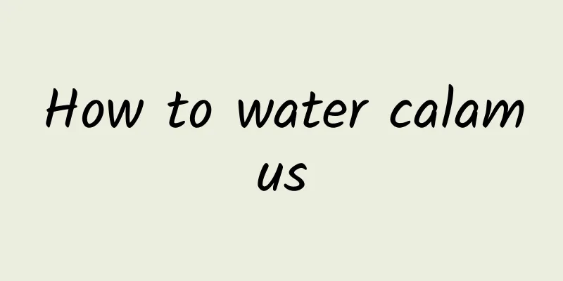 How to water calamus