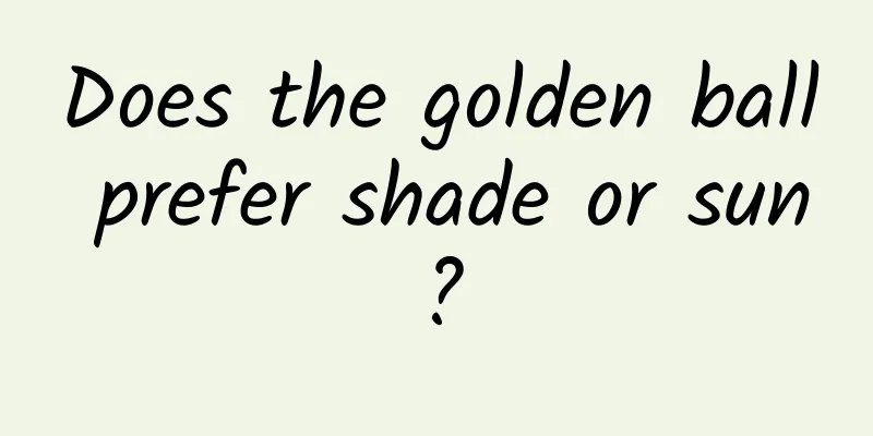 Does the golden ball prefer shade or sun?