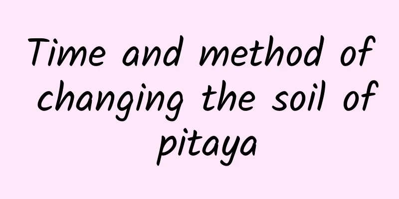 Time and method of changing the soil of pitaya