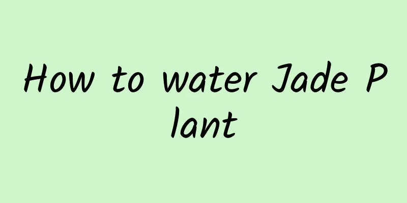 How to water Jade Plant