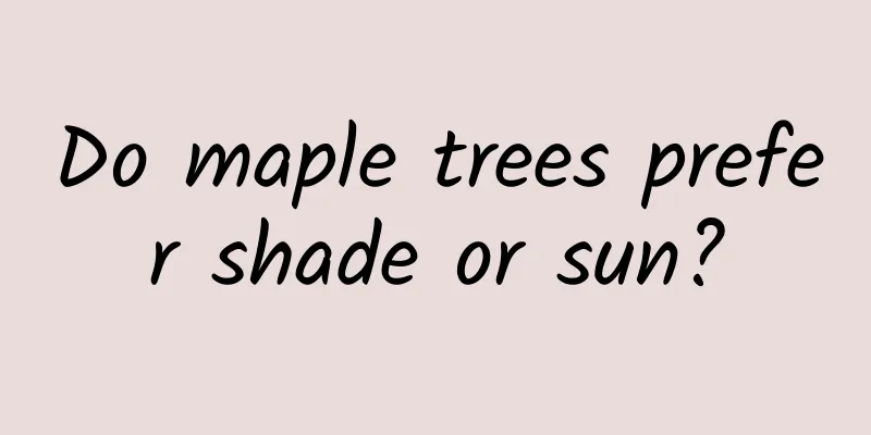 Do maple trees prefer shade or sun?