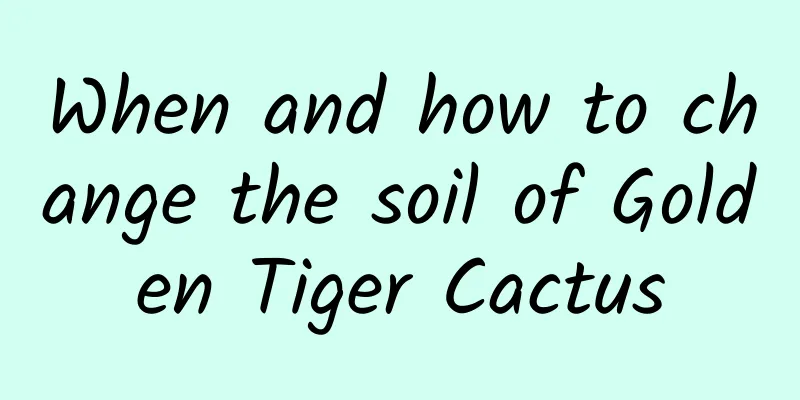 When and how to change the soil of Golden Tiger Cactus