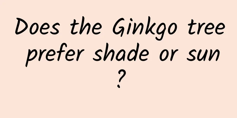Does the Ginkgo tree prefer shade or sun?