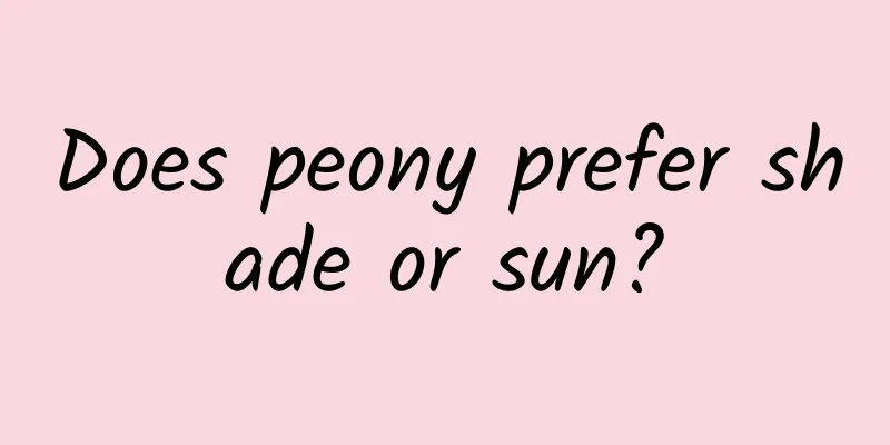 Does peony prefer shade or sun?