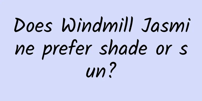 Does Windmill Jasmine prefer shade or sun?