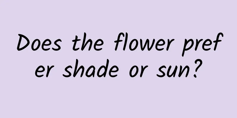 Does the flower prefer shade or sun?