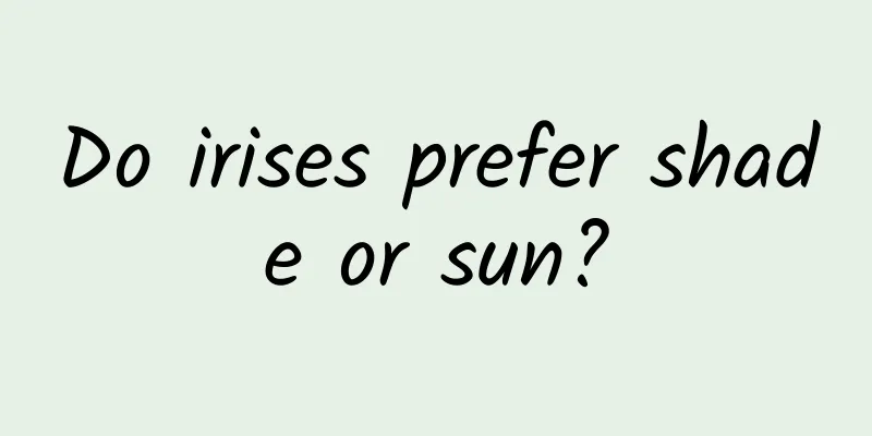 Do irises prefer shade or sun?