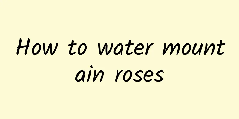 How to water mountain roses