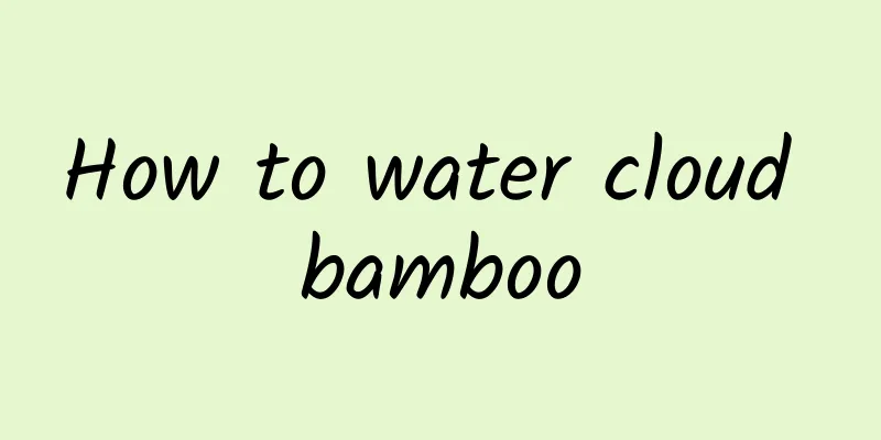 How to water cloud bamboo