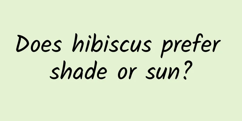 Does hibiscus prefer shade or sun?