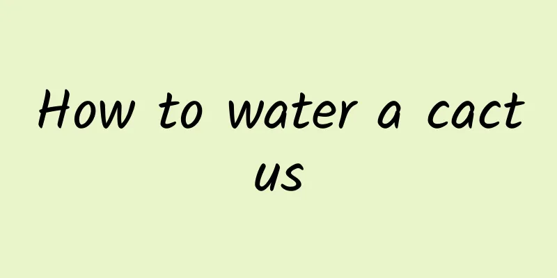 How to water a cactus
