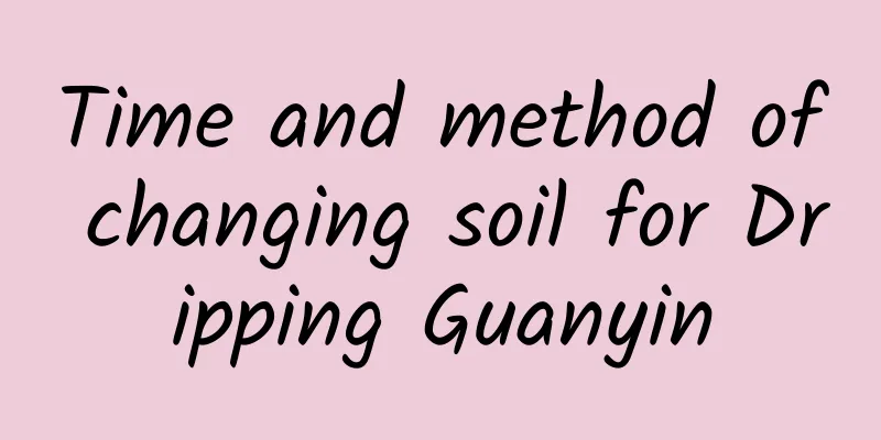 Time and method of changing soil for Dripping Guanyin