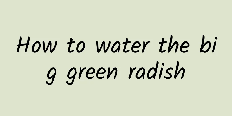How to water the big green radish