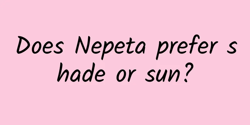 Does Nepeta prefer shade or sun?