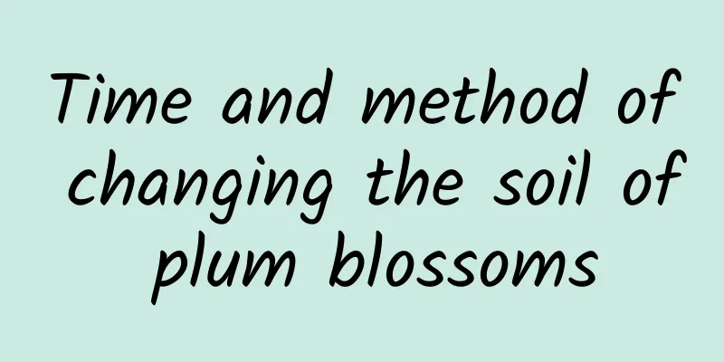 Time and method of changing the soil of plum blossoms