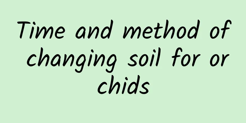Time and method of changing soil for orchids
