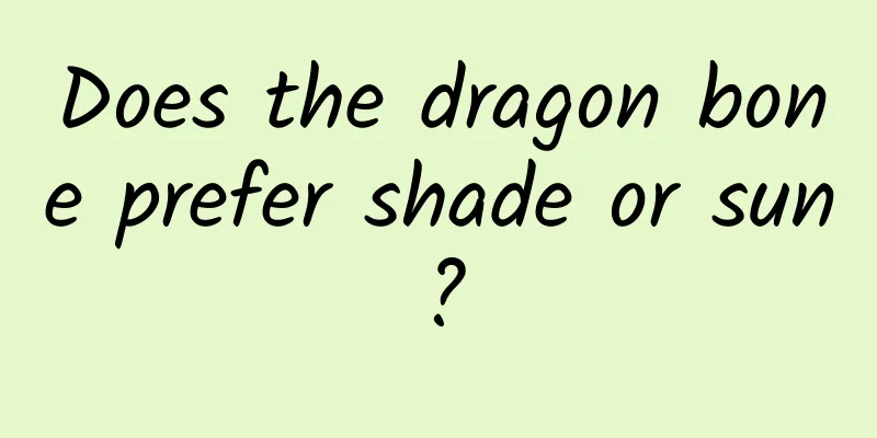 Does the dragon bone prefer shade or sun?