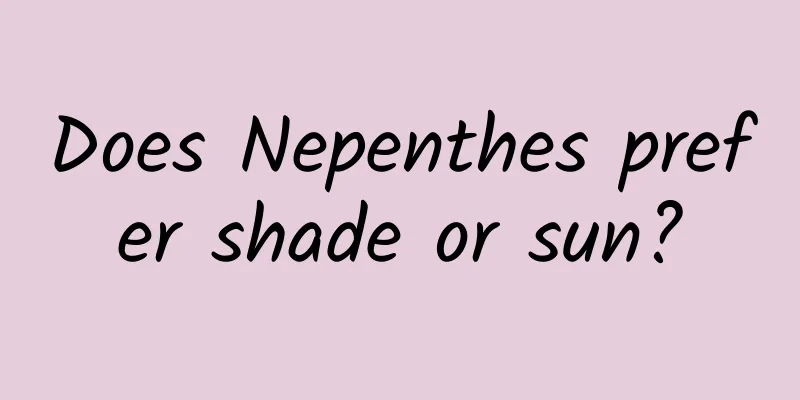 Does Nepenthes prefer shade or sun?