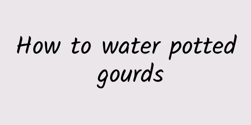 How to water potted gourds